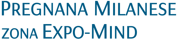 a Pregnana Milanese zona Expo Rho